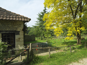 Shepherd's Cottage terrace